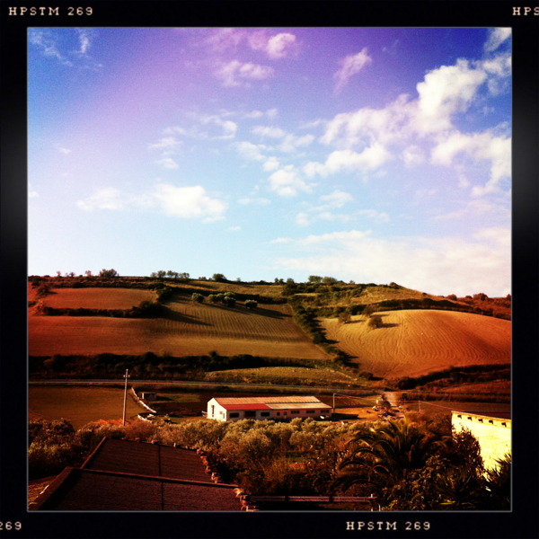 Hip 341049062.341604