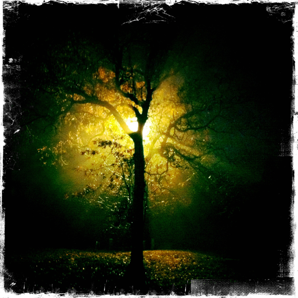 Hip 317106136.508001