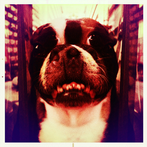 Hip 329877091.099766