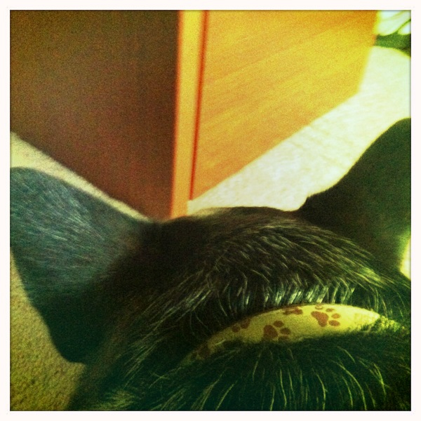 Hip 341524534.530003