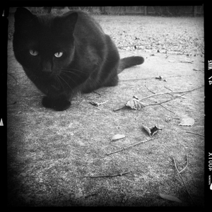 Hip 341100726.051311