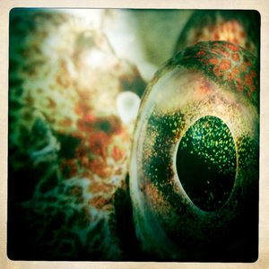 Hip 330126275.254758