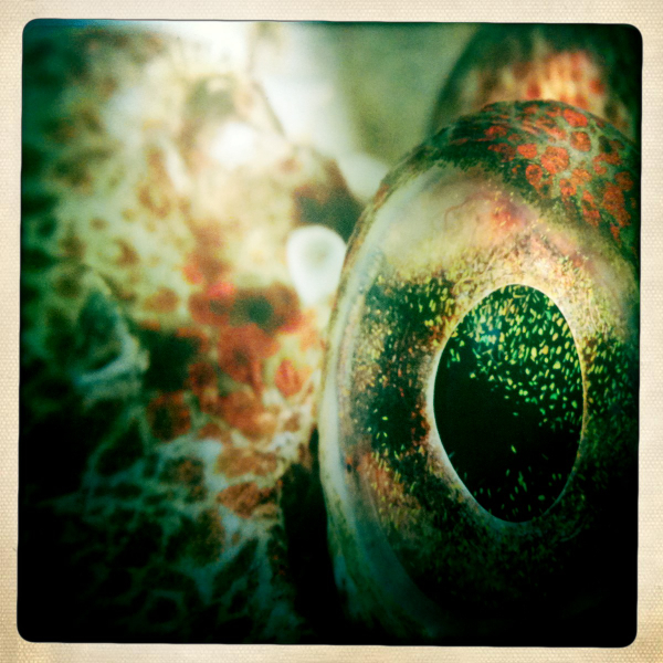 Hip 330126275.254758