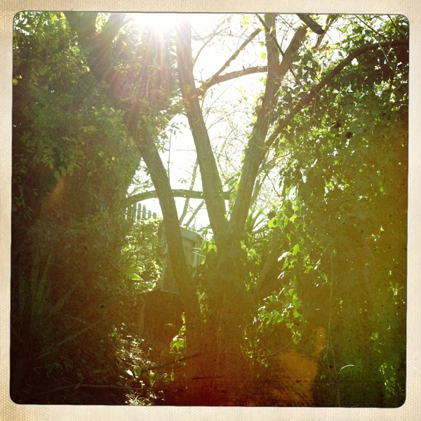 Hip 341521356.751344