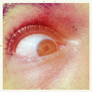 Hip 341189980.763894