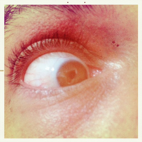 Hip 341189980.763894