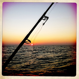 Hip 338611281.345821