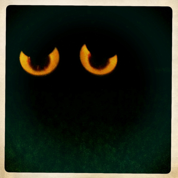 Hip 341525310.560161