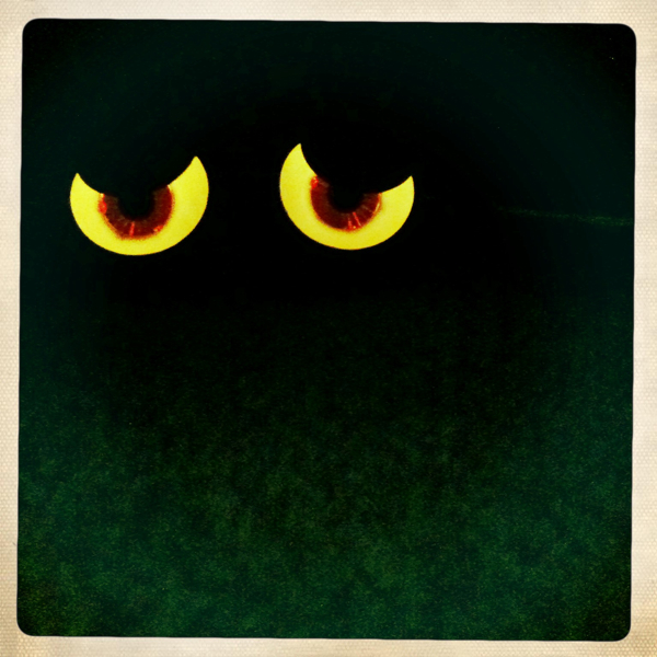 Hip 341525425.614562