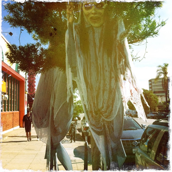 Hip 341525334.706672