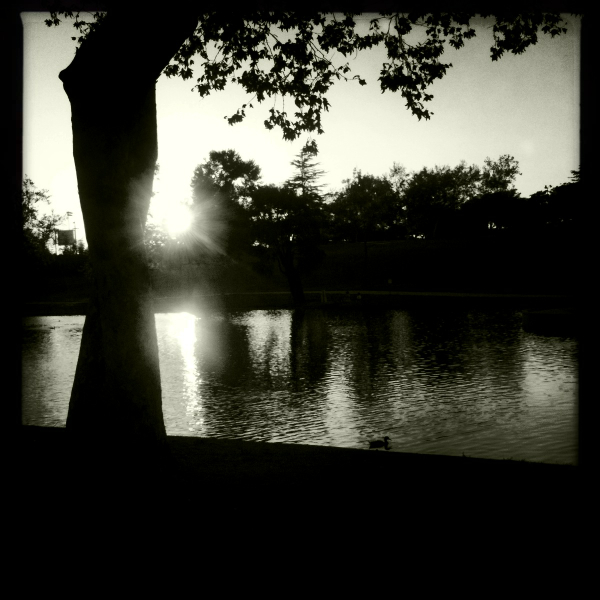 Hip 334117674.247651