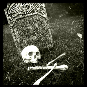 Hip 341527949.665305