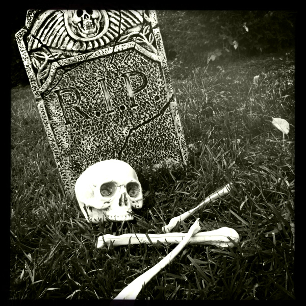 Hip 341527949.665305