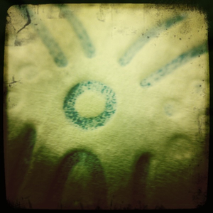 Hip 341343179.365498