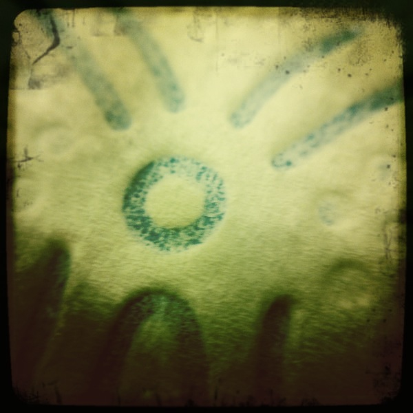 Hip 341343179.365498