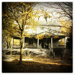 Hip 341528303.471016