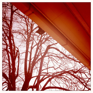 Hip 322945312.412308