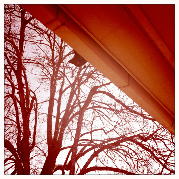 Hip 322945312.412308