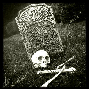 Hip 341527960.916946