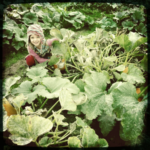 Hip 339802248.566720