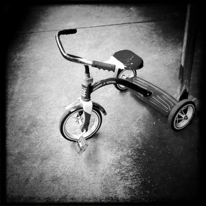 Hip 341527435.597073