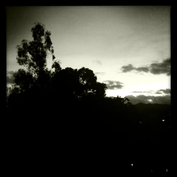 Hip 341295434.710584