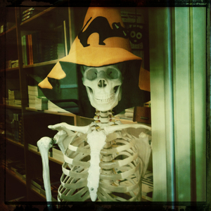 Hip 341390147.317996