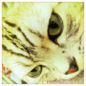 Hip 340950083.754799