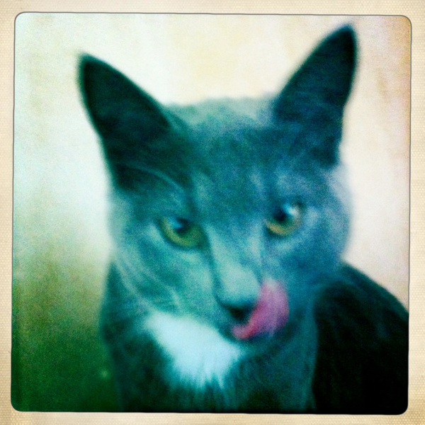 Hip 338307531.905013