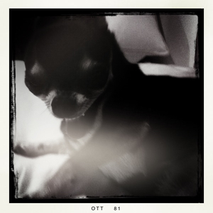 Hip 341358679.352621