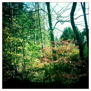 Hip 341520981.234842