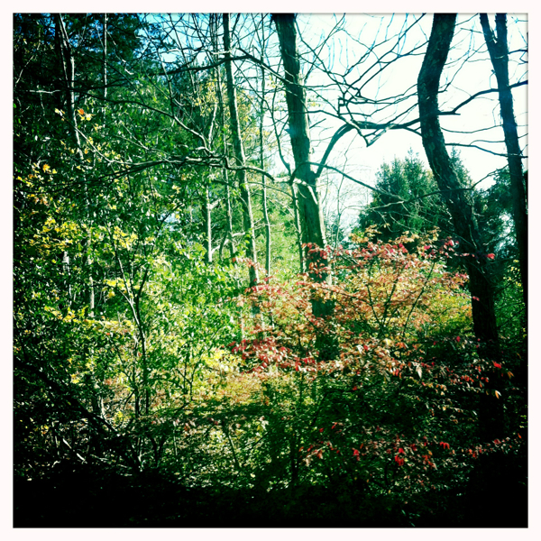 Hip 341520981.234842