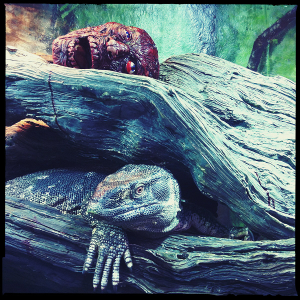 Hip 341528544.675283