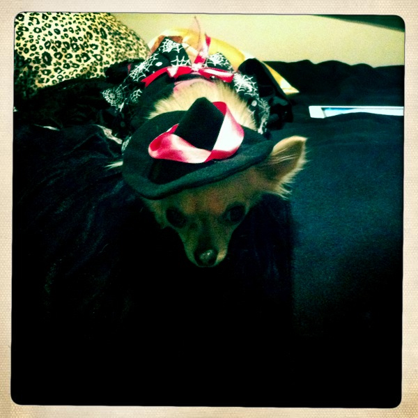 Hip 339455885.847718