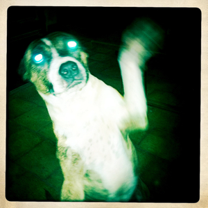 Hip 341172663.215814