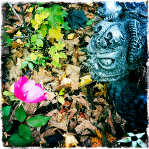 Hip 341422141.025988