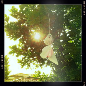 Hip 340475360.048495