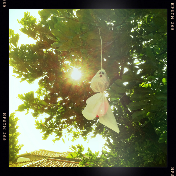 Hip 340475360.048495