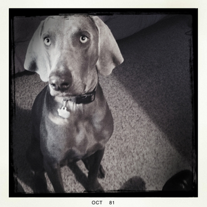 Hip 341536980.884014