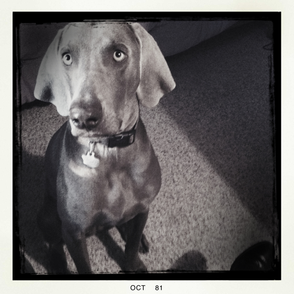 Hip 341536980.884014