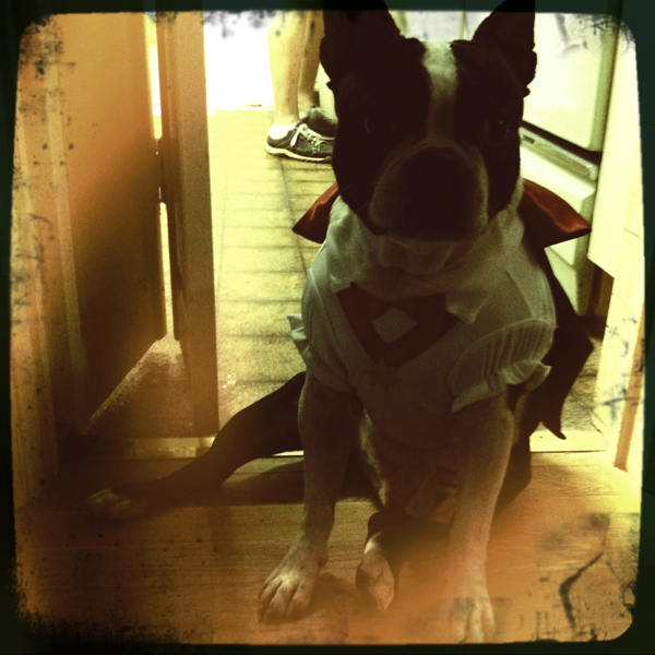 Hip 341444354.454519