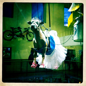 Hip 341536381.613782