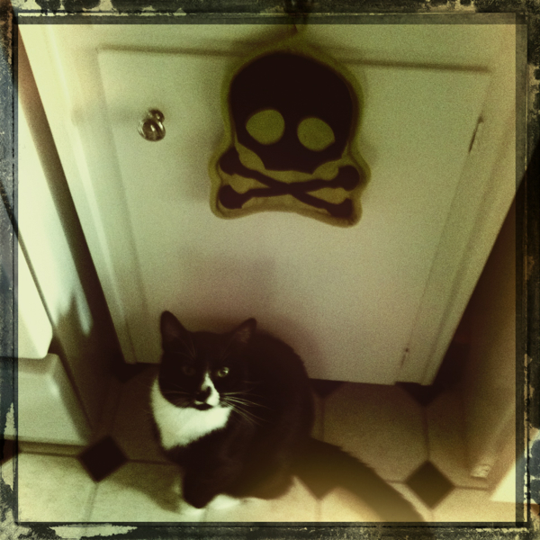 Hip 341538578.369221