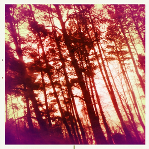 Hip 320947059.085817