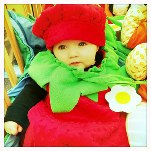 Hip 341523340.397860