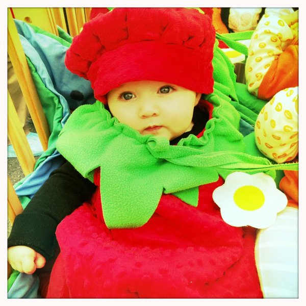 Hip 341523340.397860