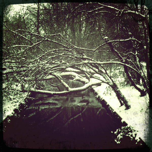 Hip 312994699.861647