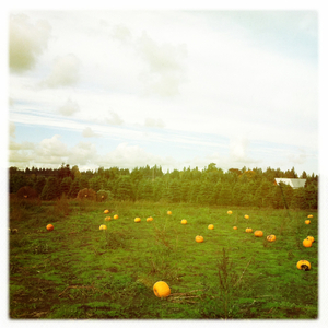 Hip 341100076.313978