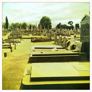 Hip 341541085.955569