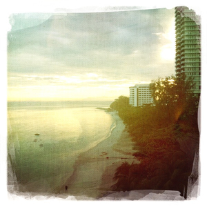 Hip 341105399.159848